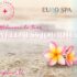 Maximize Your Naples Wellness Journey with Monthly Spa Visits